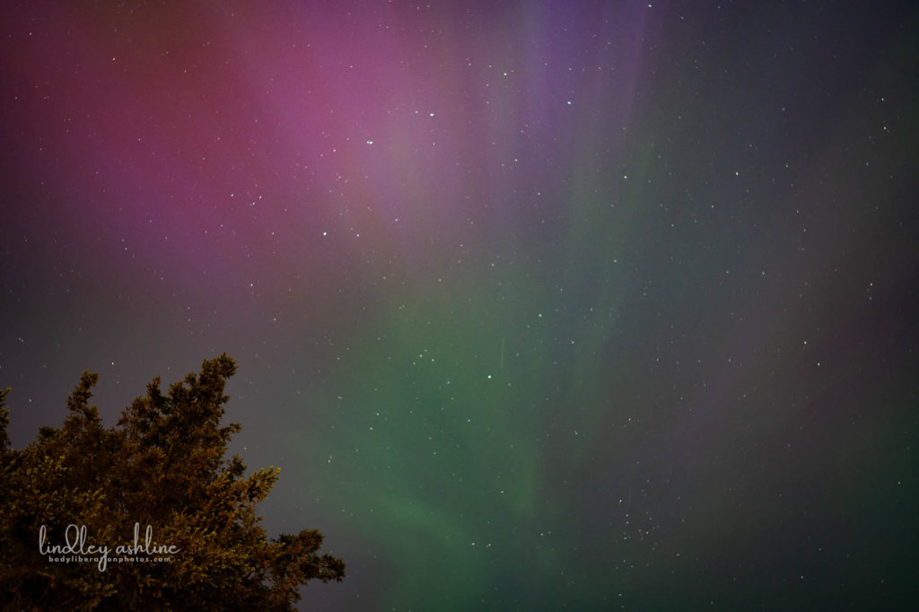 Aurora Borealis, Seattle, WA, March 2024