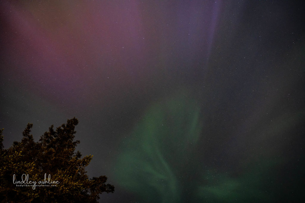 Aurora Borealis, Seattle, WA, March 2024