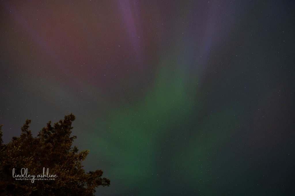 Aurora Borealis, Seattle, WA, March 2024