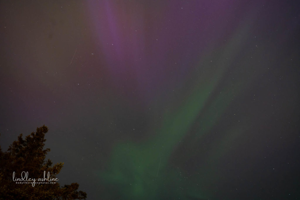 Aurora Borealis, Seattle, WA, March 2024