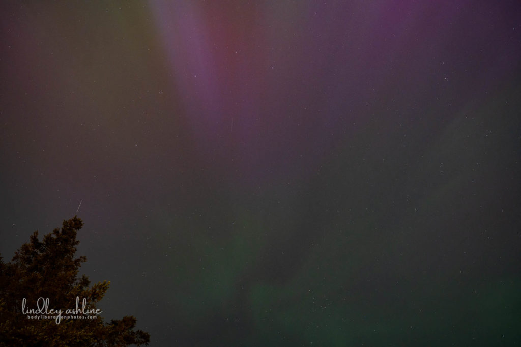 Aurora Borealis, Seattle, WA, March 2024
