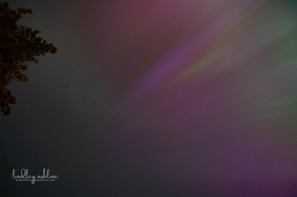 Aurora Borealis, Seattle, WA, March 2024