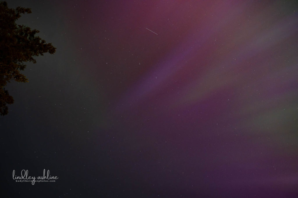 Aurora Borealis, Seattle, WA, March 2024