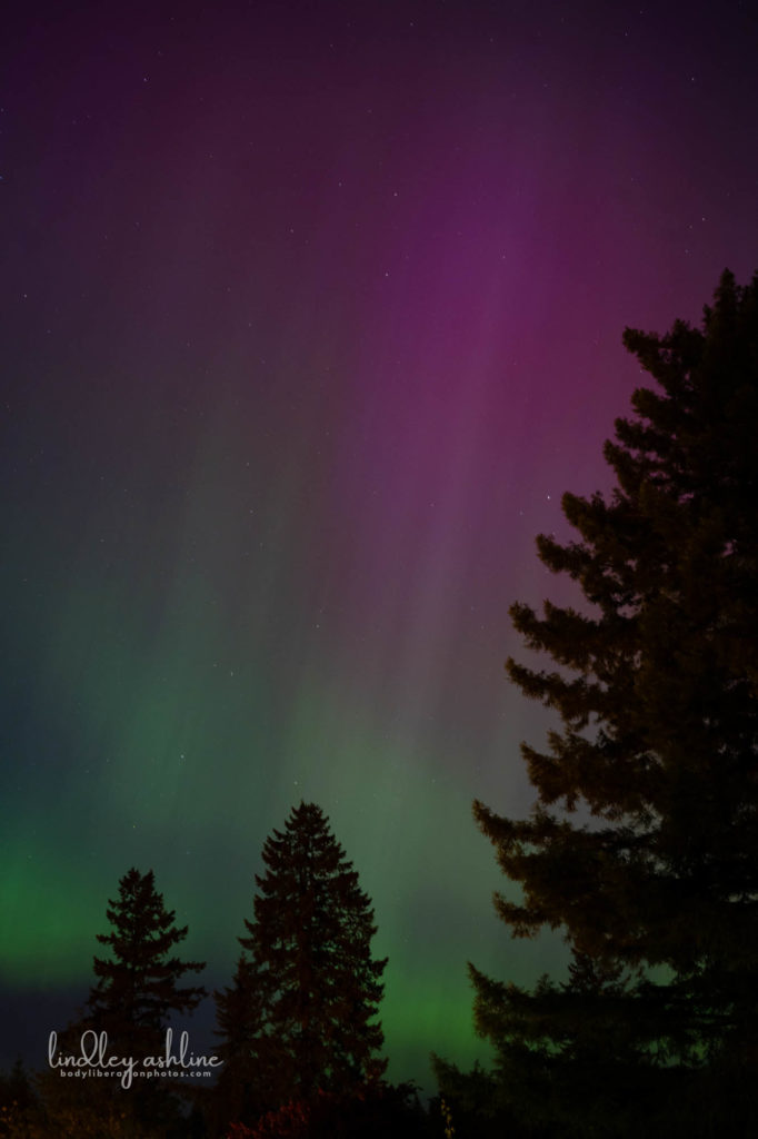 Aurora Borealis, Seattle, WA, March 2024