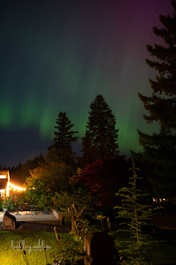 Aurora Borealis, Seattle, WA, March 2024