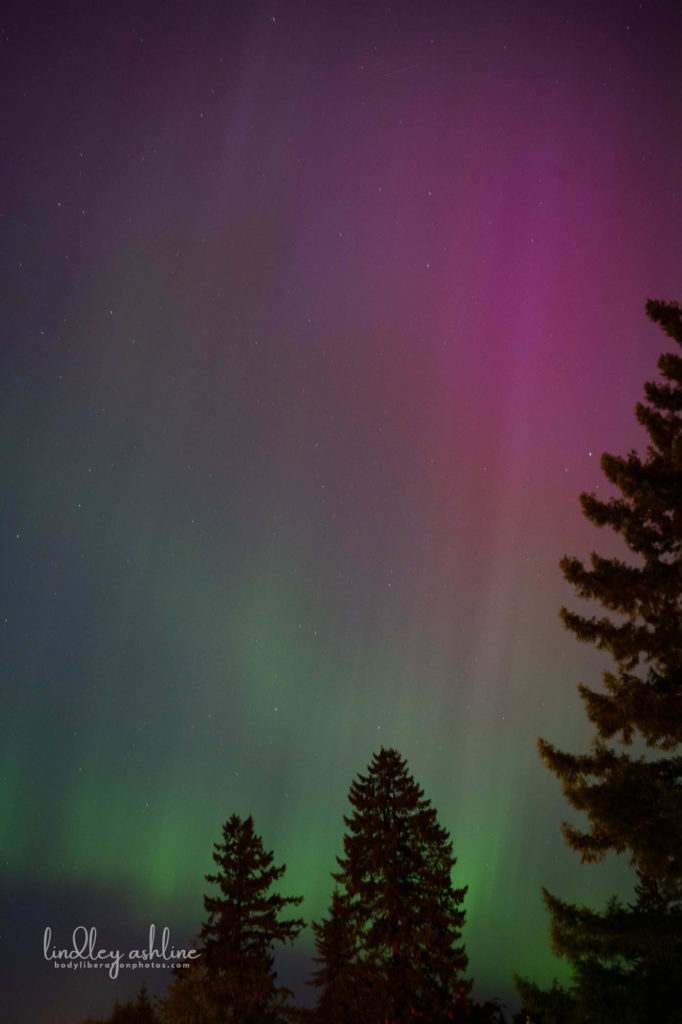Aurora Borealis, Seattle, WA, March 2024