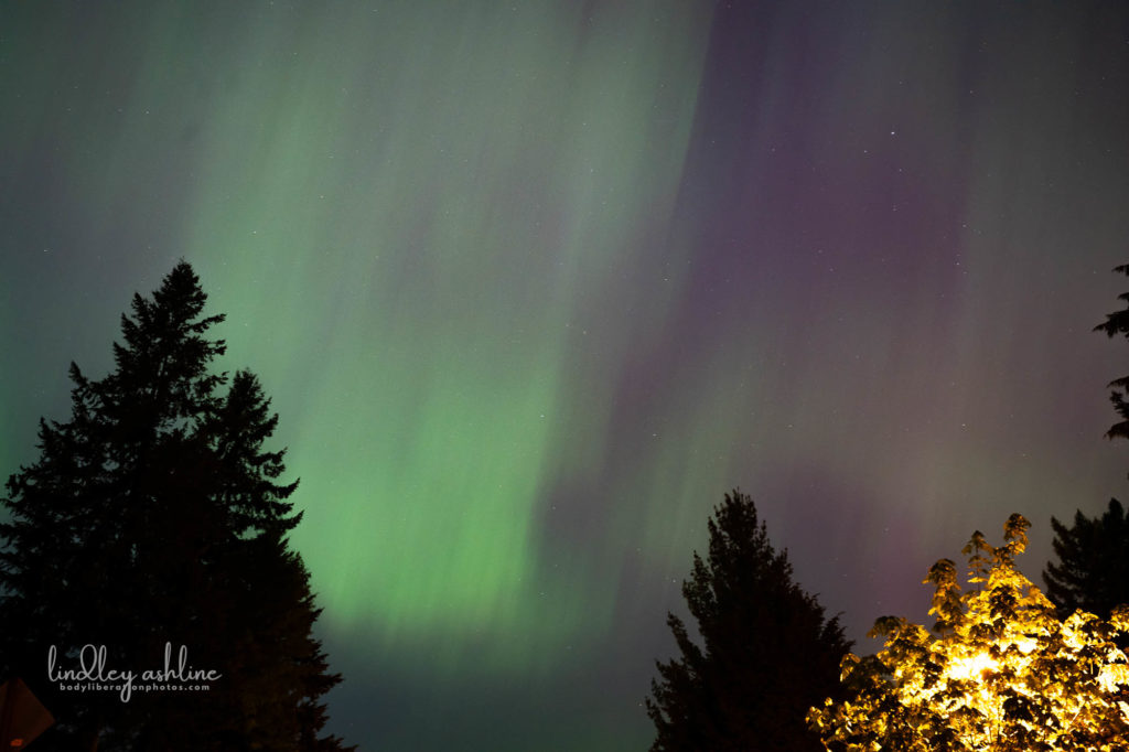 Aurora Borealis, Seattle, WA, March 2024