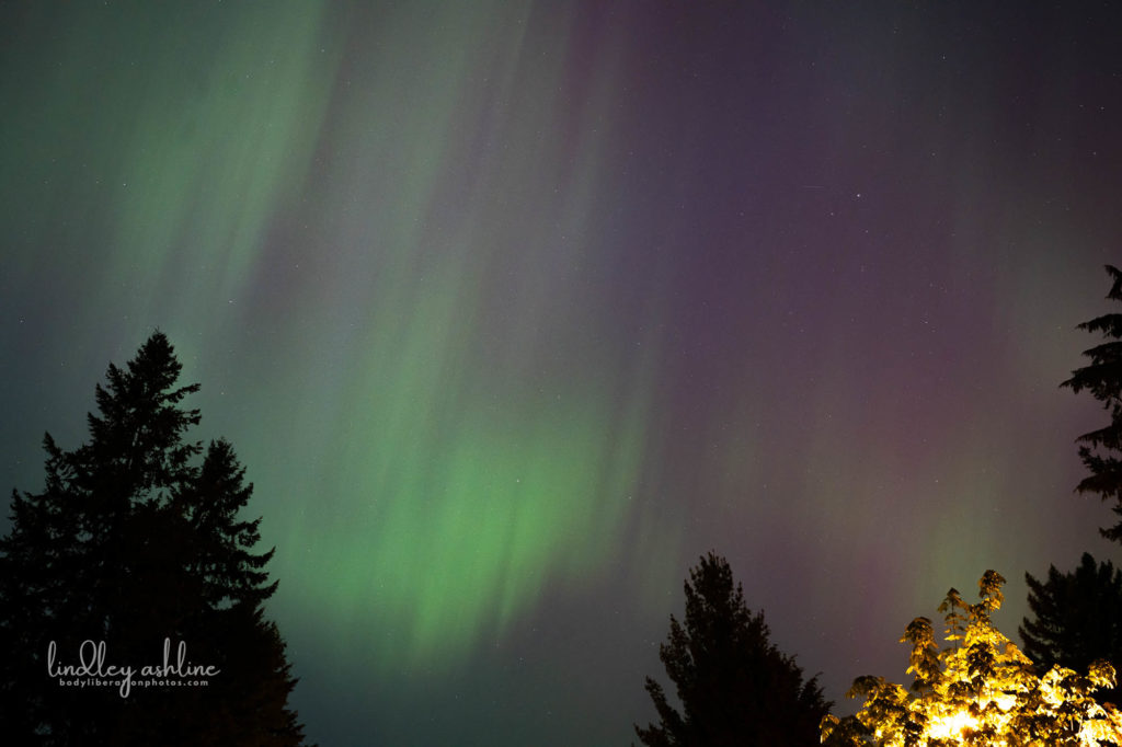 Aurora Borealis, Seattle, WA, March 2024