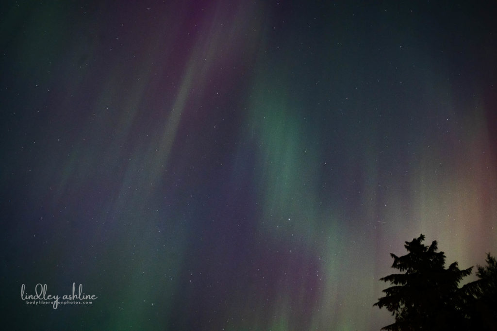 Aurora Borealis, Seattle, WA, March 2024