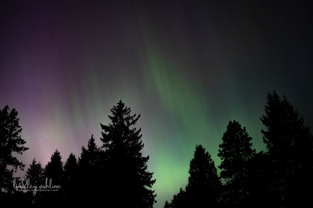 Aurora Borealis, Seattle, WA, March 2024