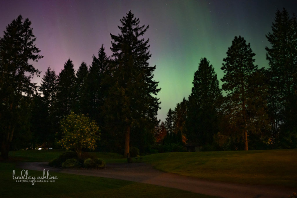 Aurora Borealis, Seattle, WA, March 2024