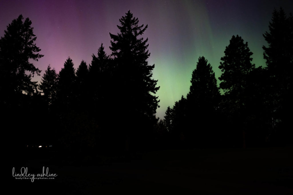 Aurora Borealis, Seattle, WA, March 2024