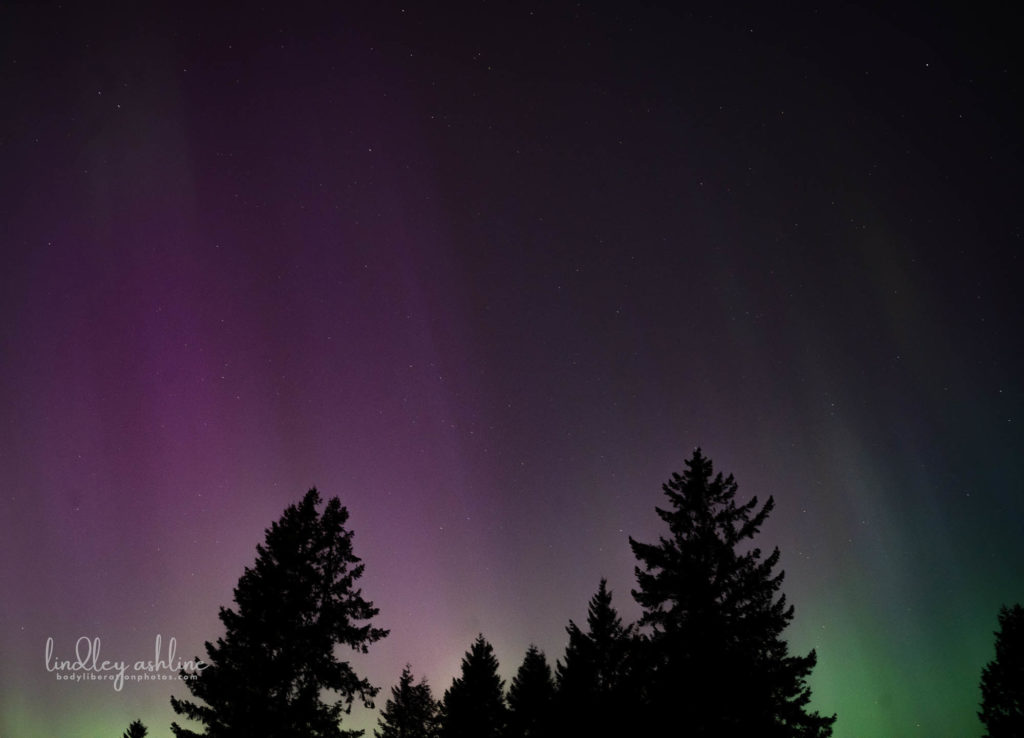 Aurora Borealis, Seattle, WA, March 2024