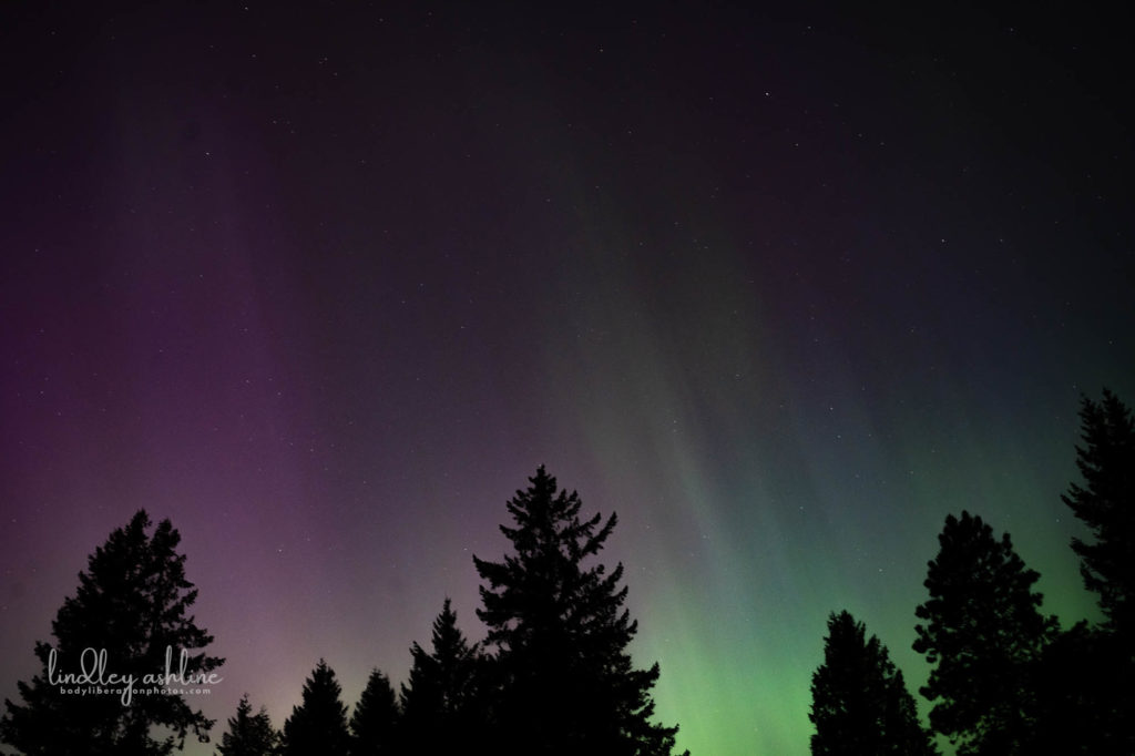 Aurora Borealis, Seattle, WA, March 2024