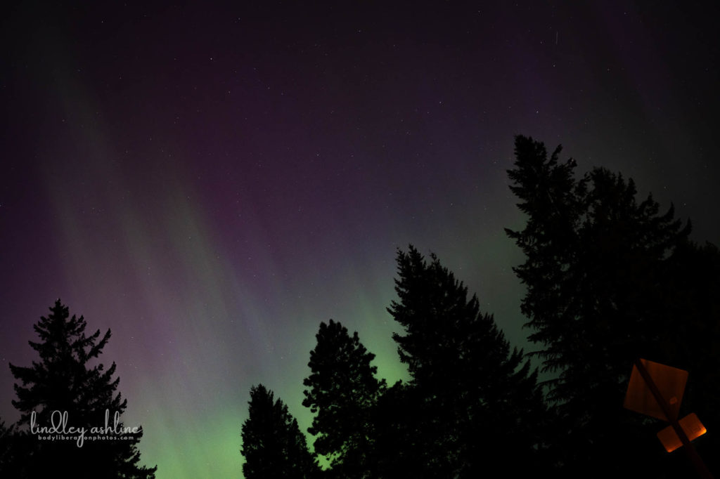 Aurora Borealis, Seattle, WA, March 2024