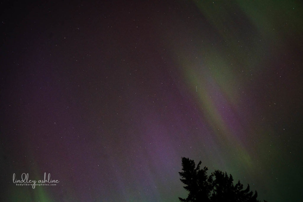 Aurora Borealis, Seattle, WA, March 2024