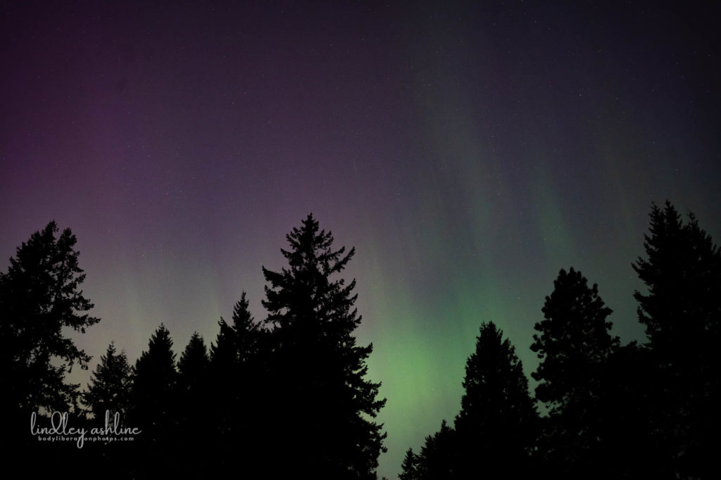 Aurora Borealis, Seattle, WA, March 2024