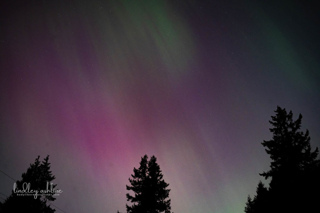 Aurora Borealis, Seattle, WA, March 2024