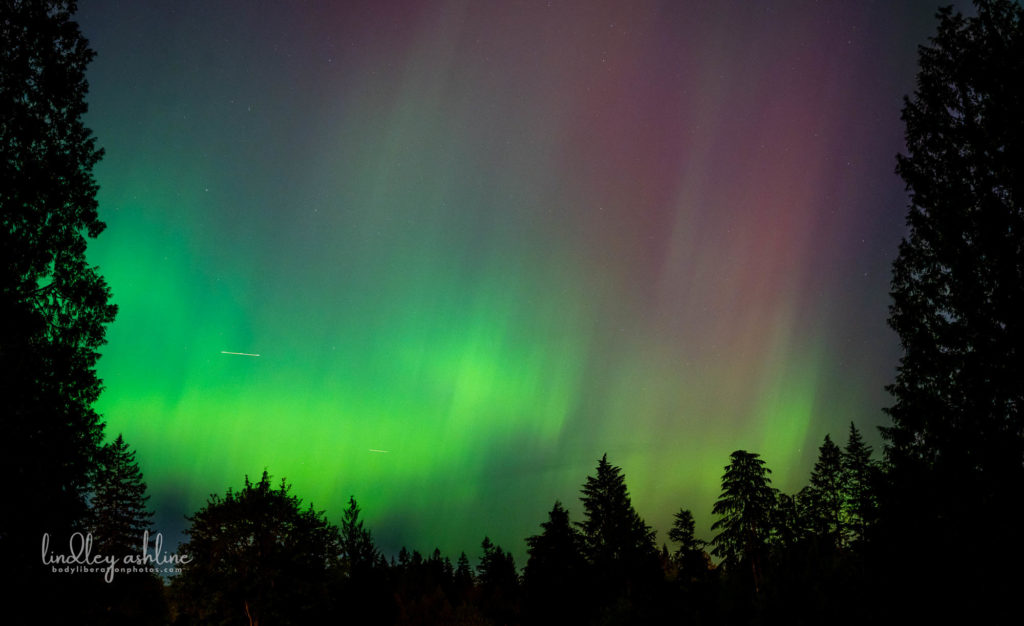 Aurora Borealis, Seattle, WA, March 2024
